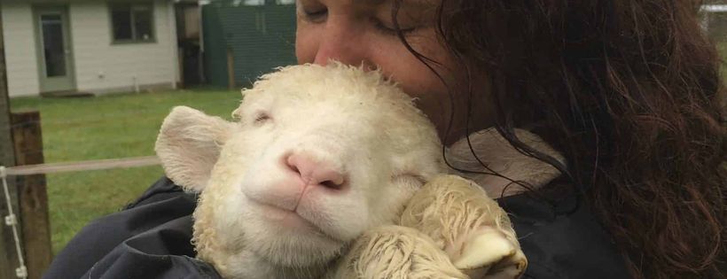 FreeHearts Animal Sanctuary Inc