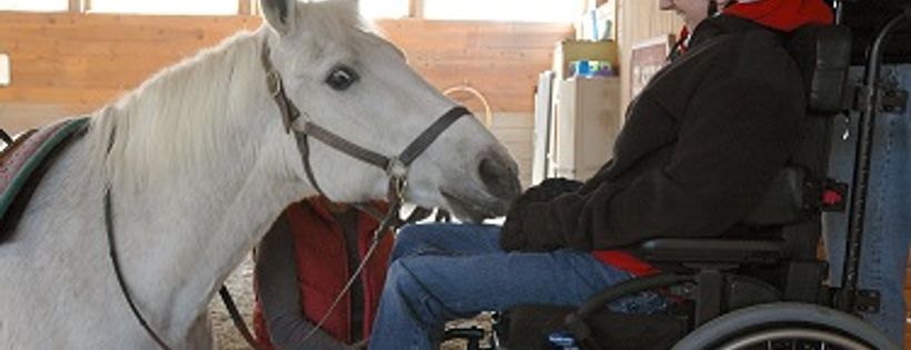 Lovelane Special Needs Horseback Riding Program