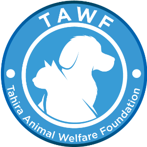 Tahira Animal Welfare Foundation Logo
