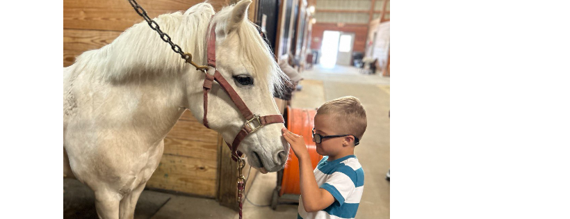 Horse Therapy, Inc
