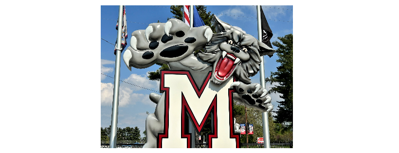 The Wildcat Foundation