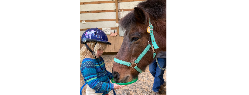 Appalachian Therapeutic Riding Center