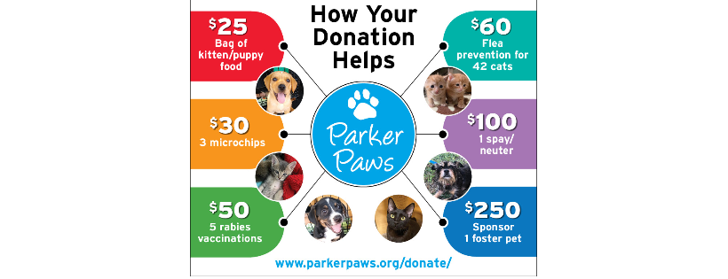 Parker Paws