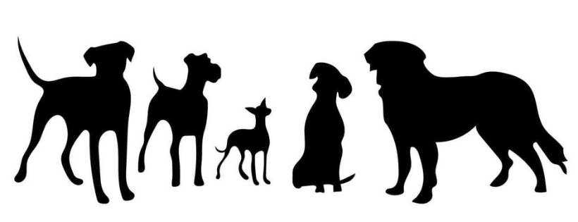 Puplandia Dog Rescue