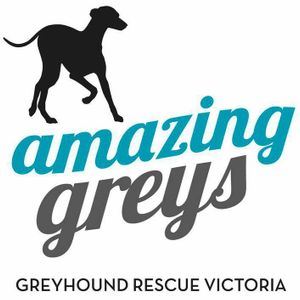 Amazing Greys Logo