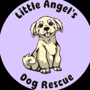 Little  Angels Dog Rescue Logo