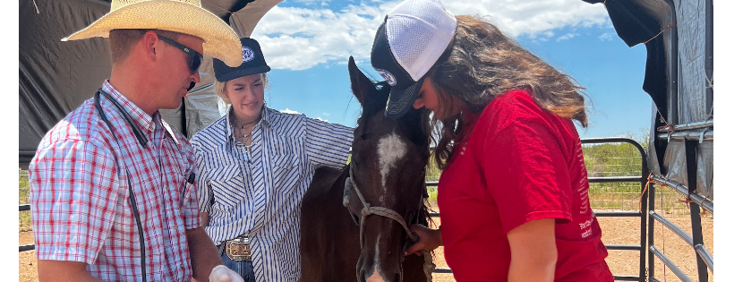 Wild Hearts Rescue Ranch