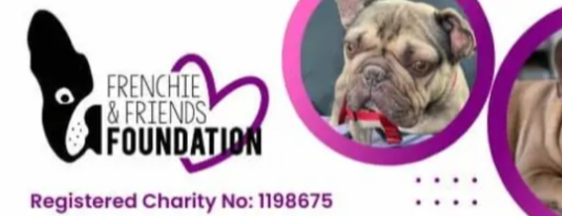 Frenchie and friends foundation
