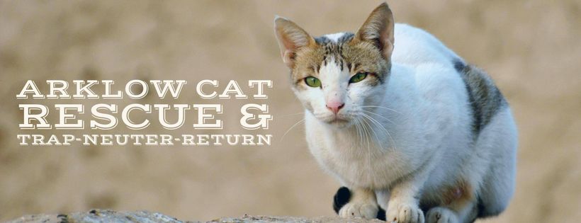 Arklow Cat Rescue