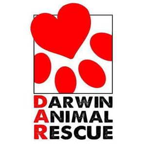 Darwin Animal Rescue Group Incorporated