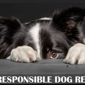 The Responsible Dog Rescue (TRDR) Logo