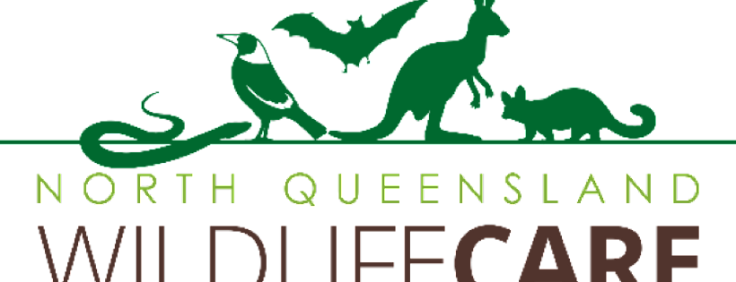 NQ Wildlife Care