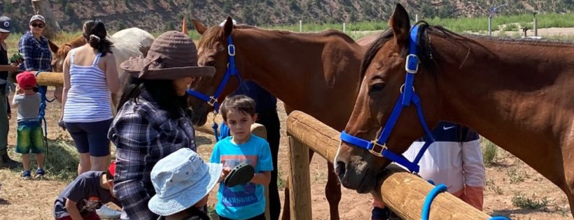 Mountain Valley Horse Rescue