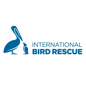International Bird Rescue