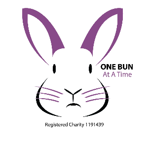 One Bun At A Time Logo