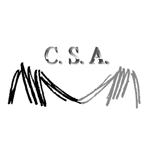 Community Service Associates, Inc.