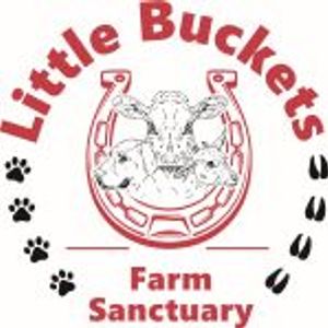 Little Buckets Farm Sanctuary