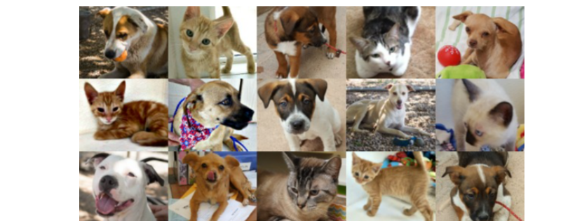 Tombstone Small Animal Shelter