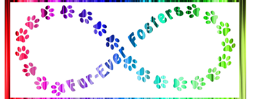 FurEver Fosters