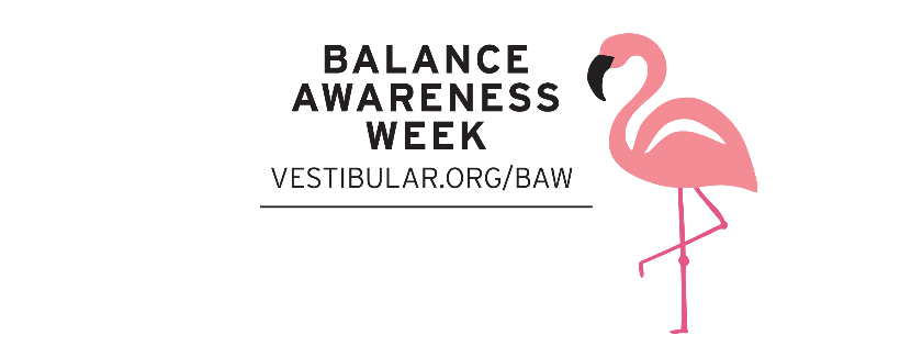 Vestibular Disorders Association