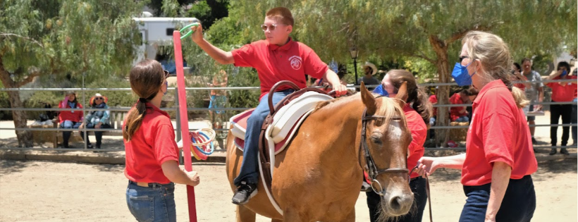 AHEAD With Horses Inc