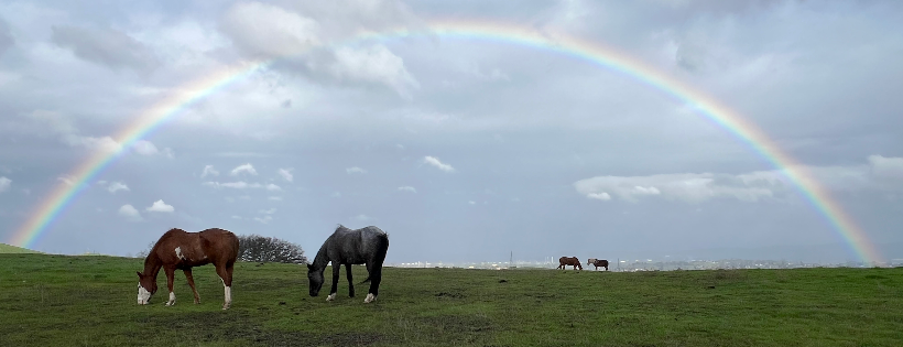 One Living Sanctuary