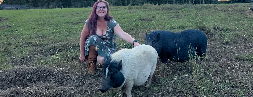 Flying Pig Animal Sanctuary at Hippie Chick N Farm, Inc.