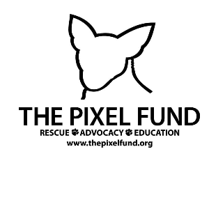 The Pixel Fund Logo