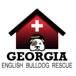 Georgia English Bulldog Rescue