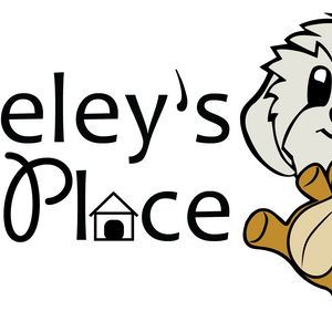Berkeley's Place Logo