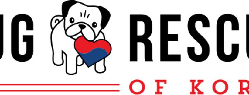 Pug Rescue of Korea