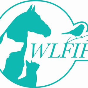 Wollondilly Lost Found and Injured Pets Incorporated