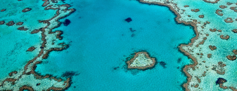 Great Barrier Reef Foundation