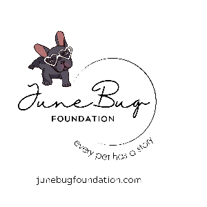 Junebug foundation