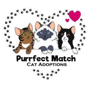 Purrfect Match Cat Adoptions Incorporated