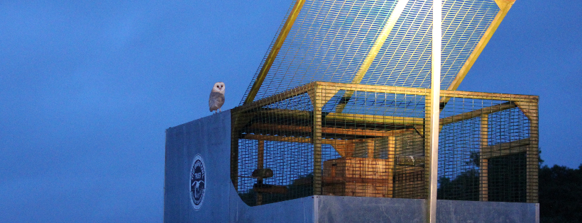 The Barn Owl Trust