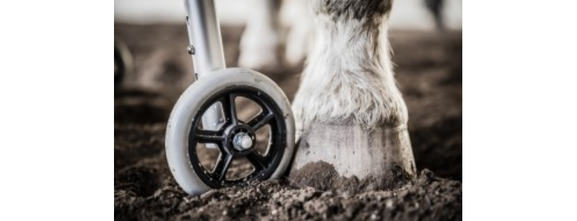 HART Horses Adaptive Riding & Therapy
