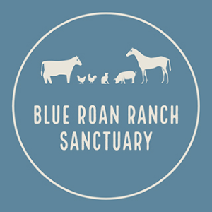 Blue Roan Ranch Sanctuary Logo