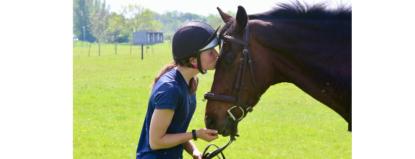 Retraining of Racehorses
