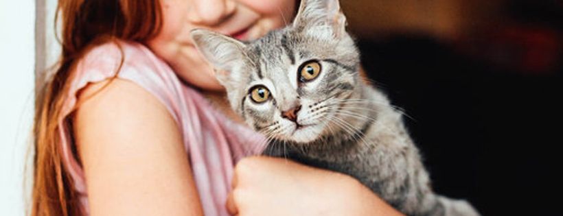 Sweet Paws Rescue