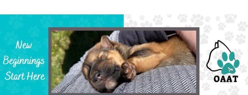 One At A Time Rescue Inc