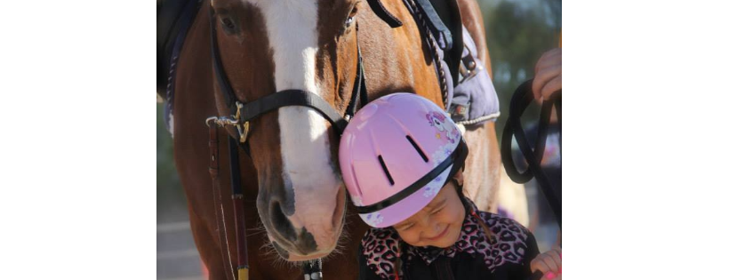 Horses Help Foundation