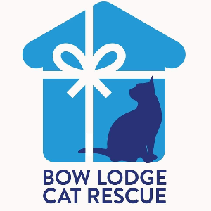 Bow lodge babies cat rescue Logo