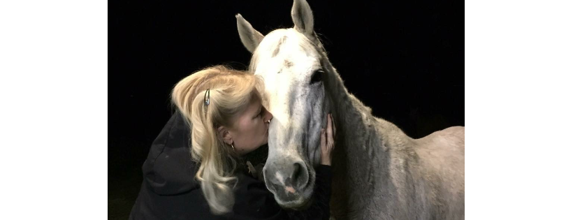Tracy Acres Equine Sanctuary