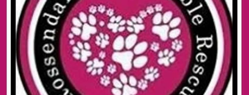 Rossendale Responsible Animal Rescue