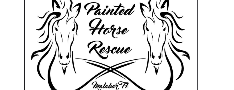 The Painted Horse Ranch Reacue