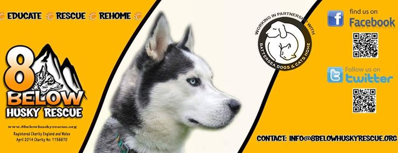 8 Below Husky Rescue