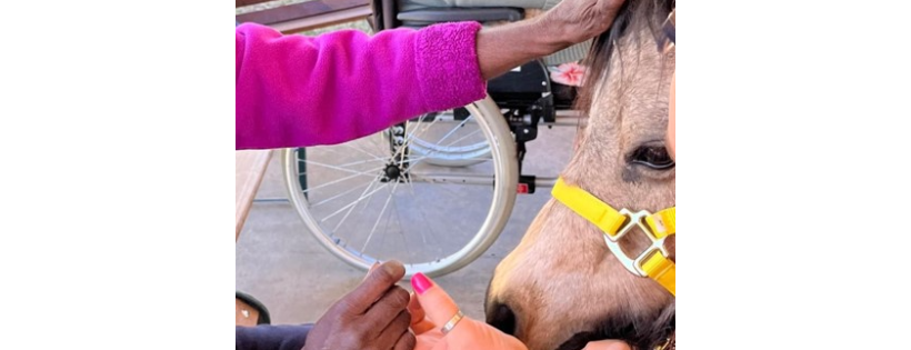 Riding for the Disabled Alice Springs