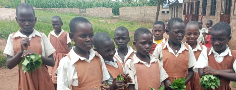 STEAM THE LIGHT FOR AFRICAN COMMUNITIES NET WORK