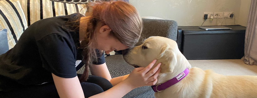 Dogs for Autism